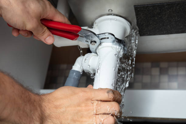 Best Mold removal after water damage  in Fort Oglethorpe, GA