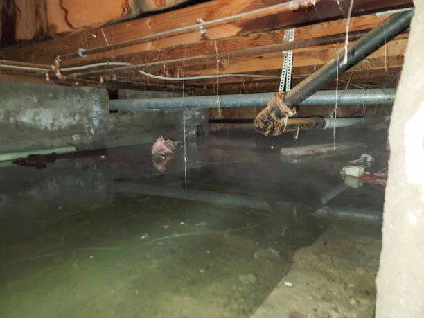 Best Commercial water damage restoration  in Fort Oglethorpe, GA