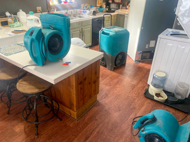 Best Ceiling water damage repair  in Fort Oglethorpe, GA