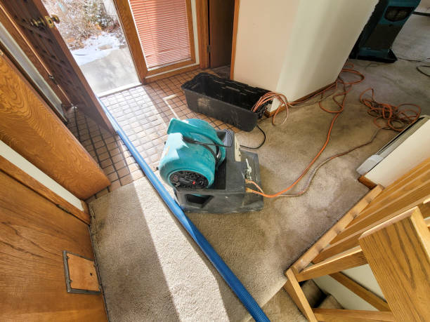 Best Water damage restoration company  in Fort Oglethorpe, GA