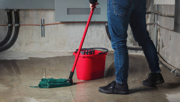Best 24/7 water damage repair  in Fort Oglethorpe, GA