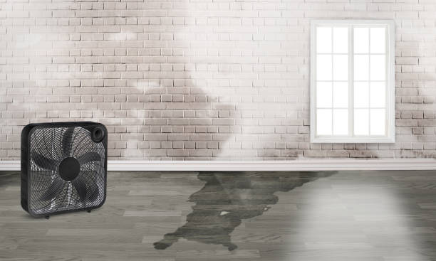 Best Sewage cleanup and water damage restoration  in Fort Oglethorpe, GA