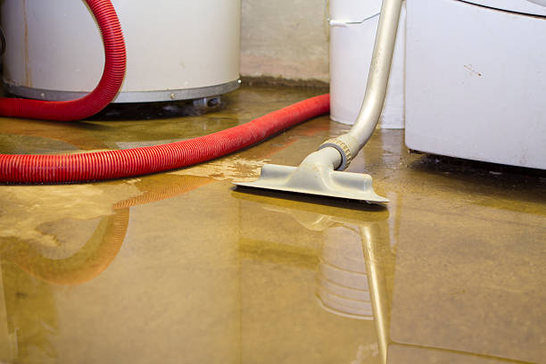 Best Residential water damage restoration  in Fort Oglethorpe, GA