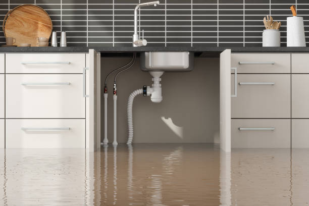 Best Fire Damage Restoration  in Fort Oglethorpe, GA